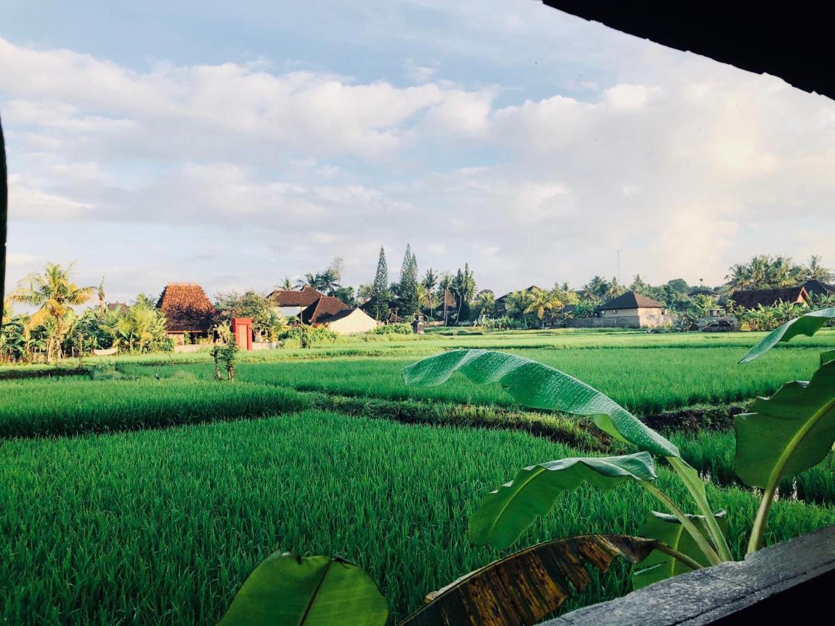 Umagama Villas Ubud Eksteriør billede
